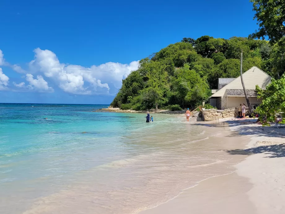 Long Bay, Snorkeling Spot