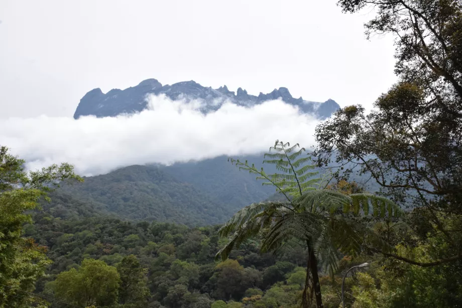 Mount Kinabalu, Sabah, Borneo