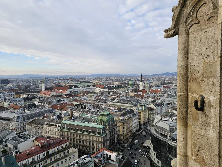 View from the south tower