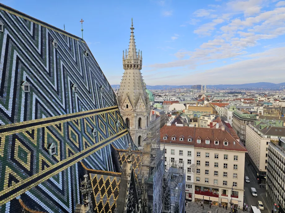 View from the north tower