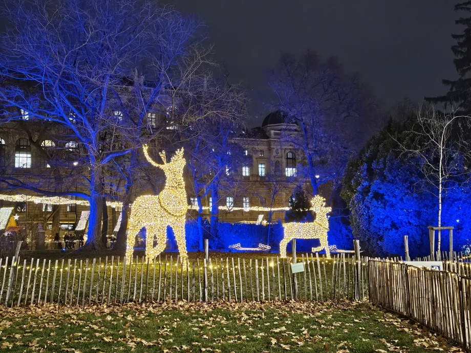 Christmas market in front of the town hall