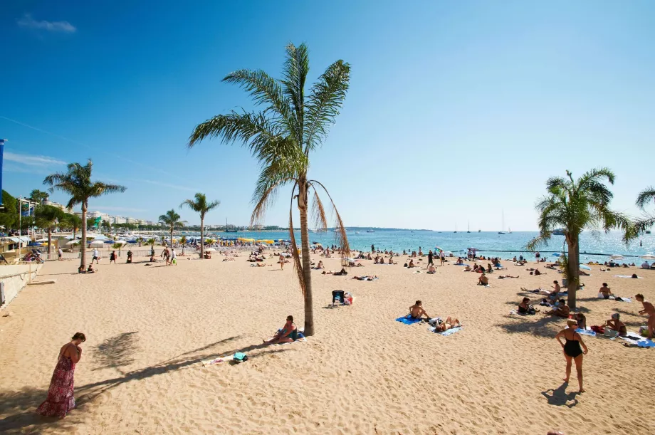 Beaches in Barcelona