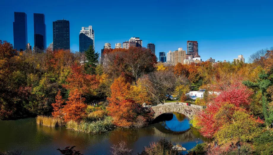 Autumn Central Park