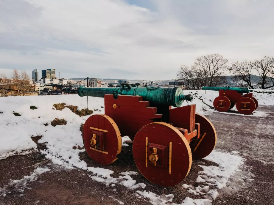 Fortress and Cannons