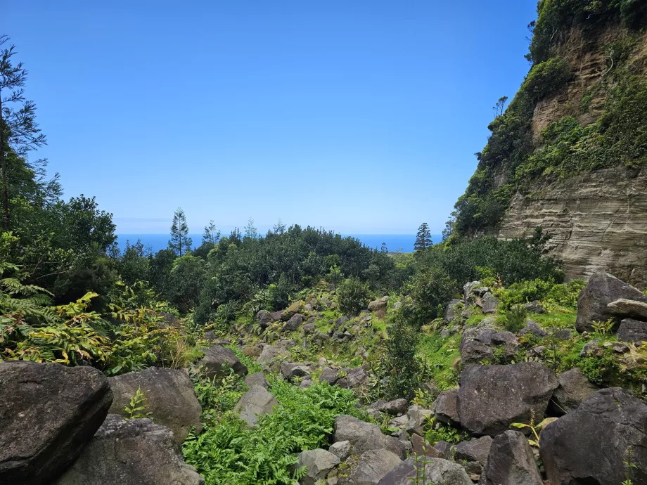 The road to Cascata da Ribeira Grande