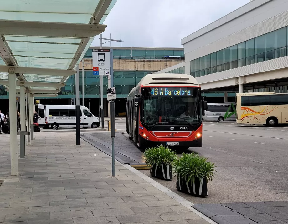 Bus stop 46 at Terminal 1