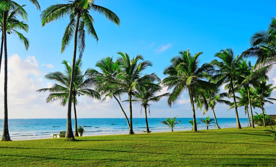 Beach in Mombasa