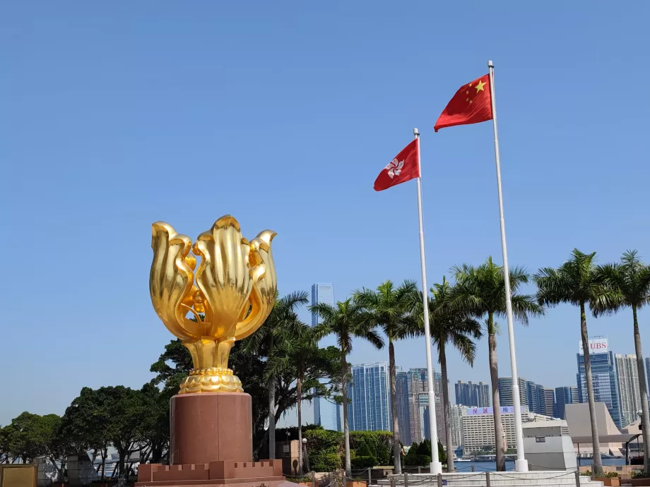 Golden Bauhinia Square