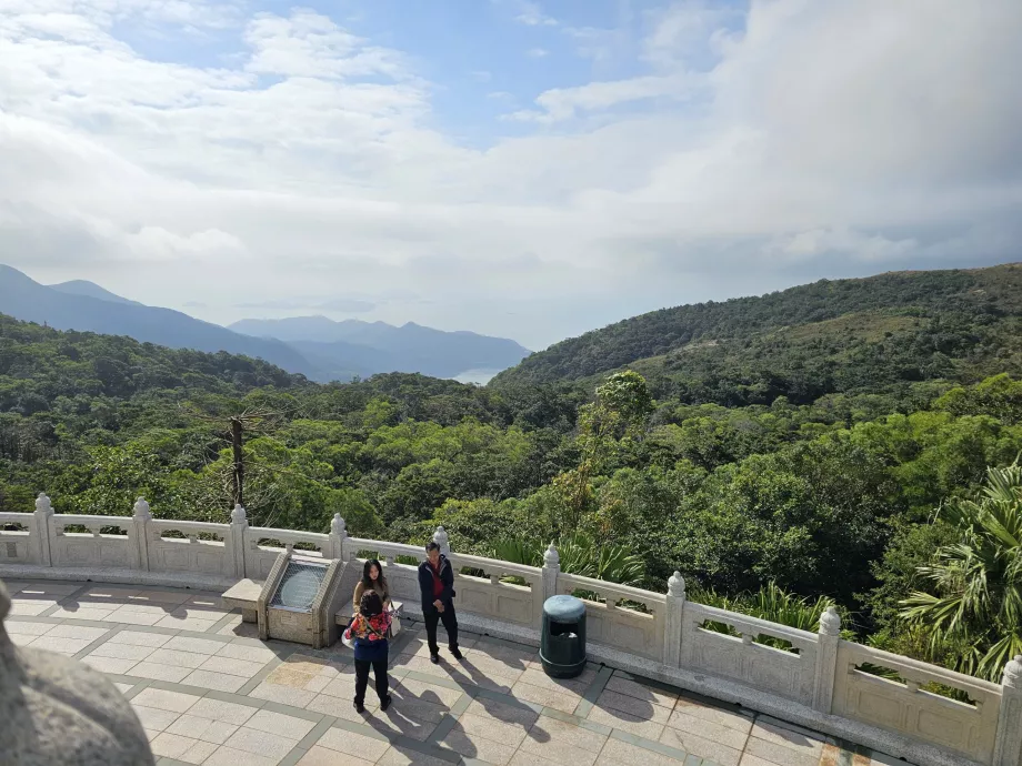 View of the forests of Lantau Island