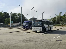 Buses to Ngong Ping