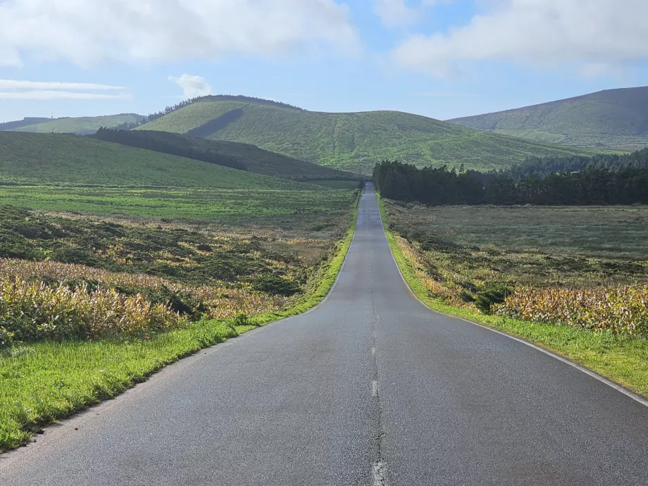 Road in the middle of Flores island