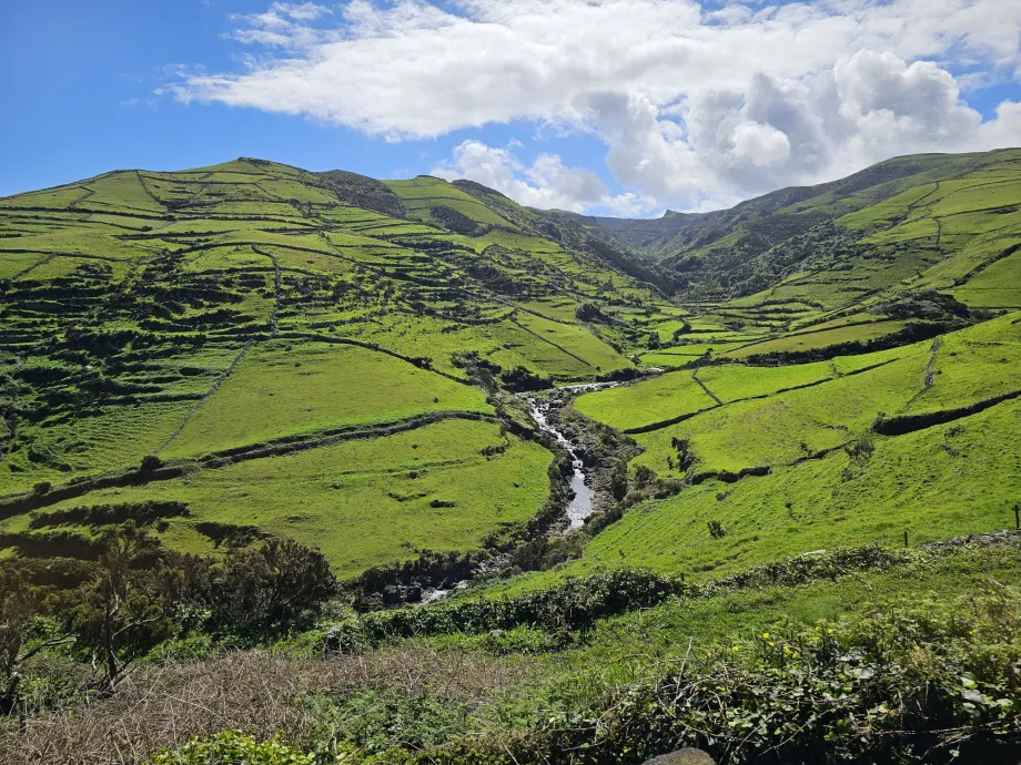 The pastures of Flores