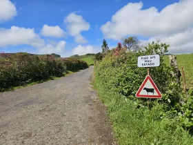 Signs along the roads on the island of Flores