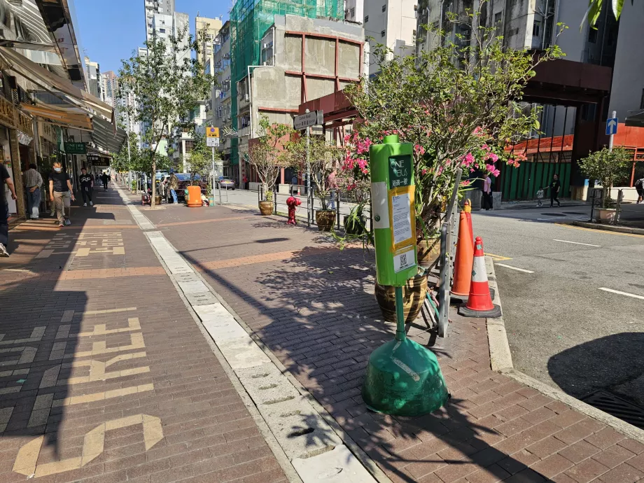 One Bus stop in Canton Road