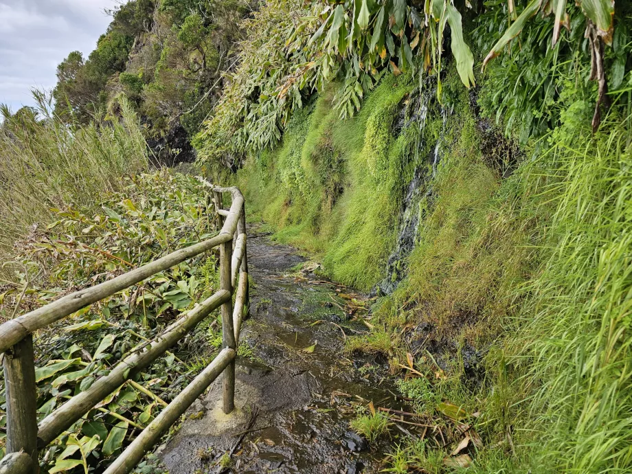 Hiking trail to Faja de Lopo Vaz