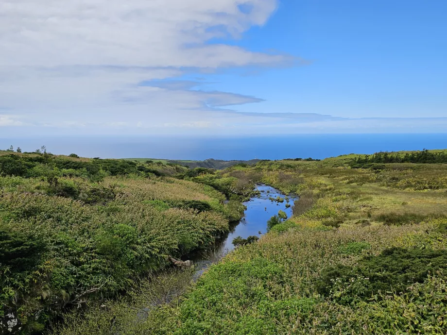 Flores Plateau