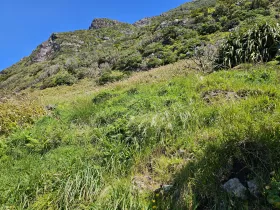 PR1FLO - steep uphill road