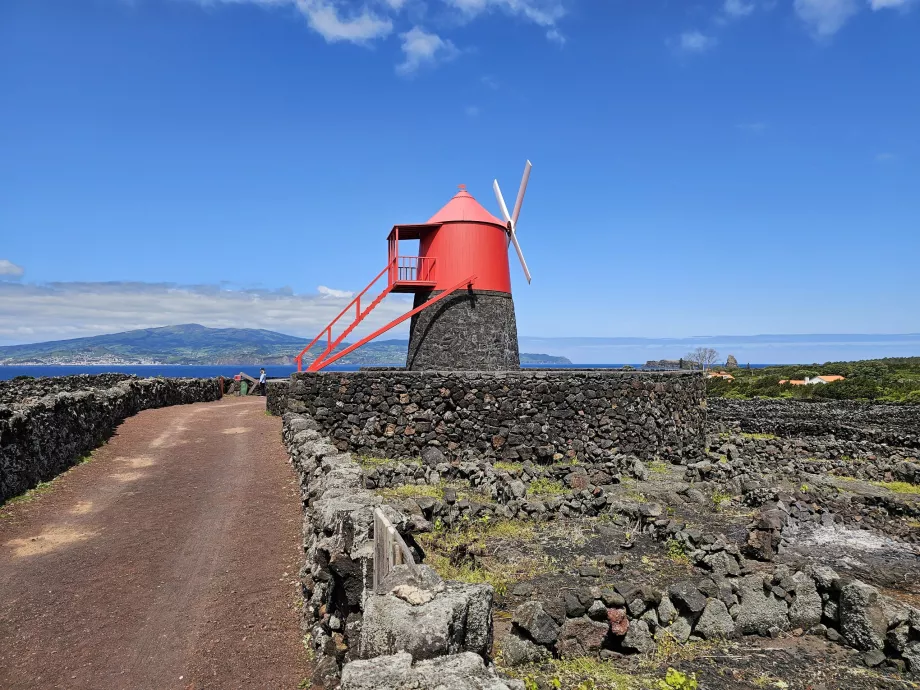 Criacao Velha Windmill