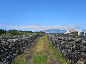 Walking trail through the vineyards of Criacao Velha
