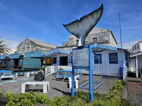 Travel agency stands in front of the harbour