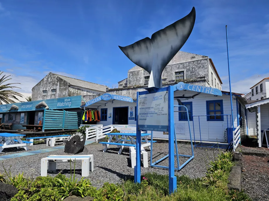 Travel agency stands in front of the harbour