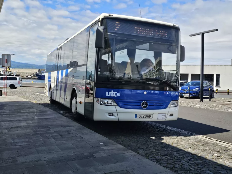 Buses on Pico Island