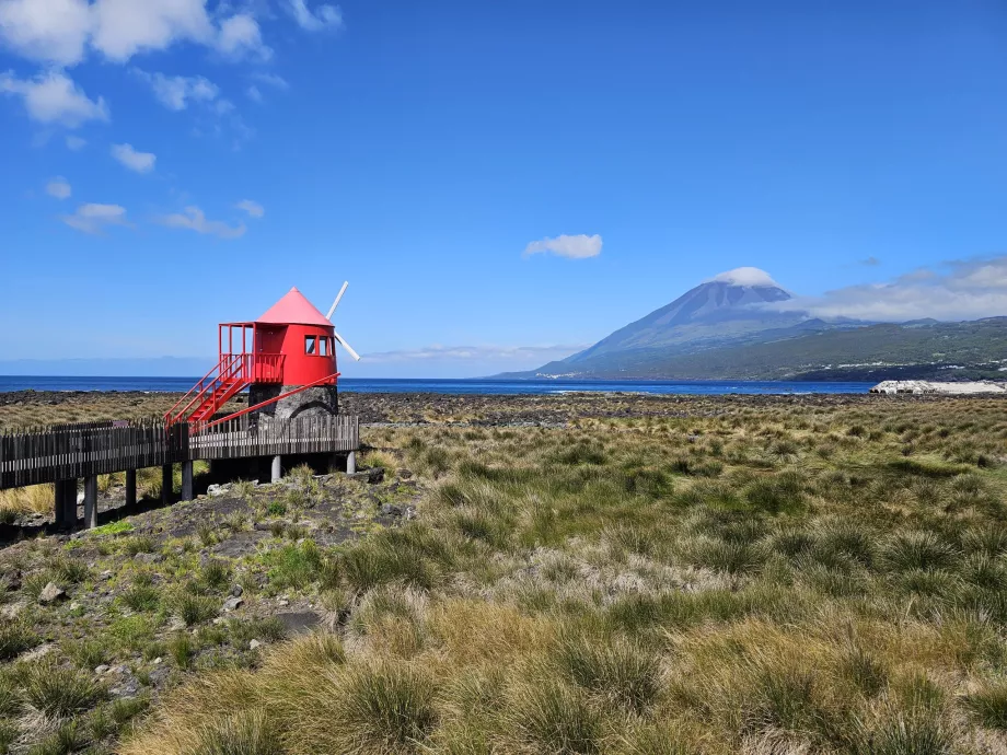 Lajes Windmill