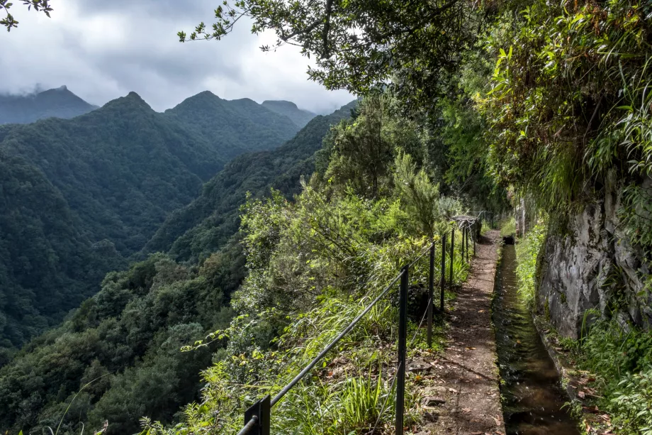 Levada to Rei