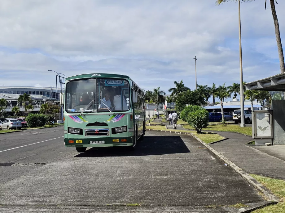 Bus - public transport
