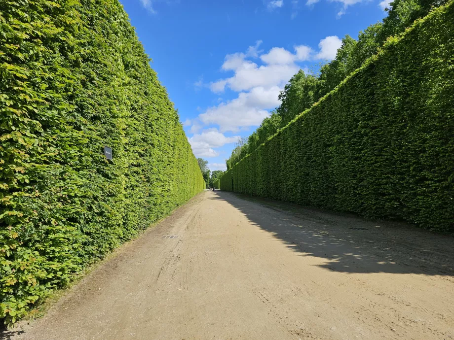 Gardens of Versailles