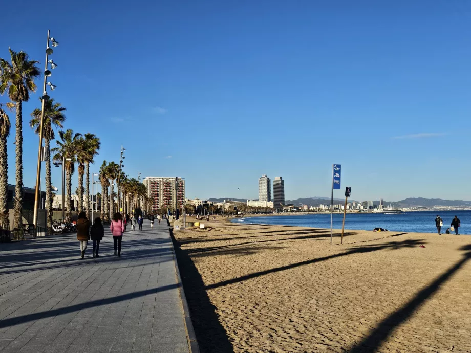 Barceloneta beach