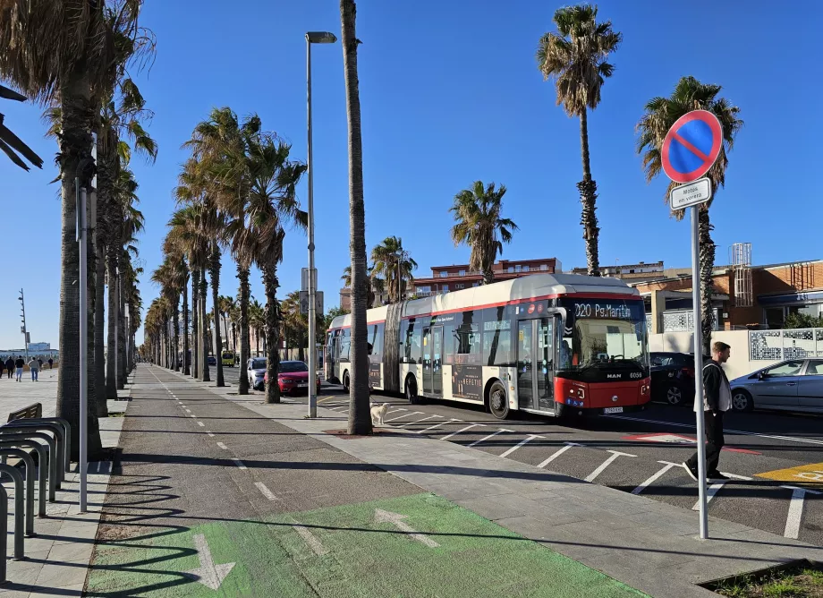 Buses in Barcelona