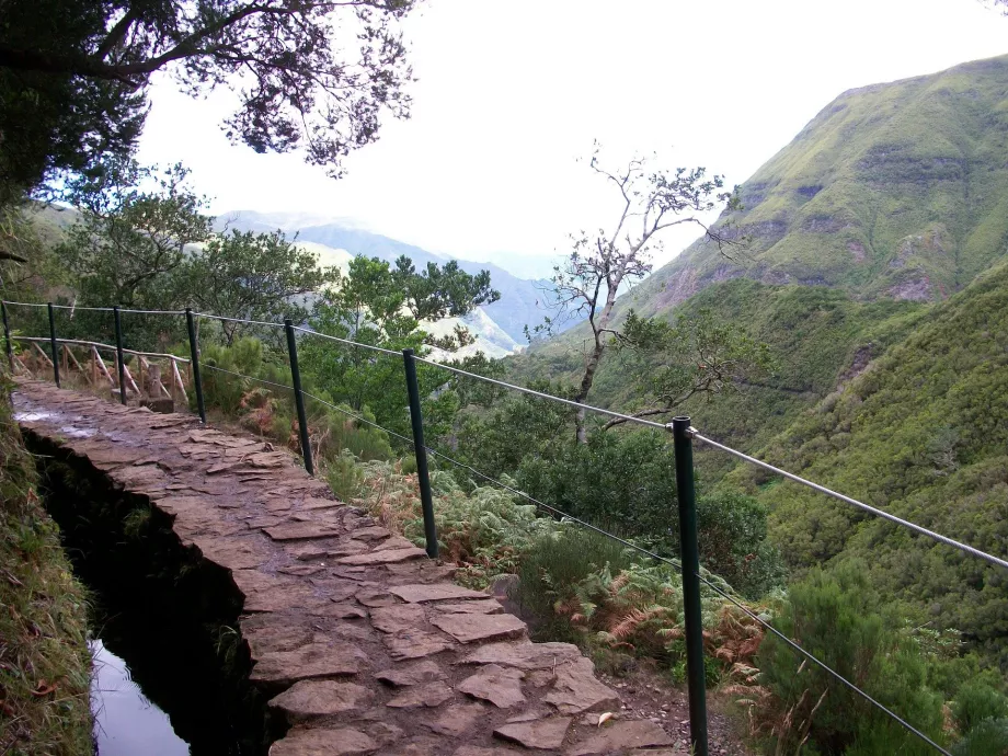 Levada views