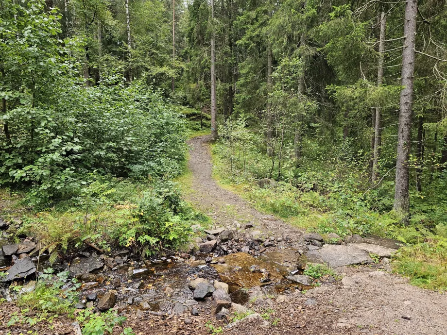 Hiking Oslo