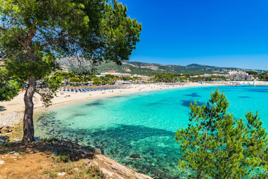 Palmanova Beach