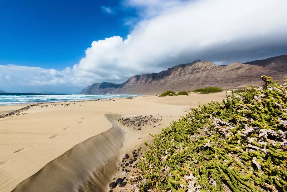 Famara Beach