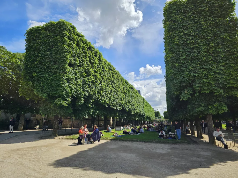 Luxembourg Gardens