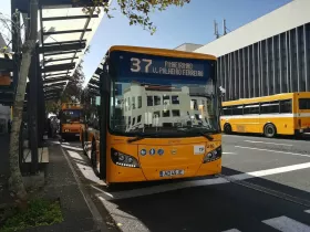 Funchal public buses (urban)