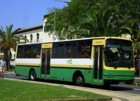 SAM buses