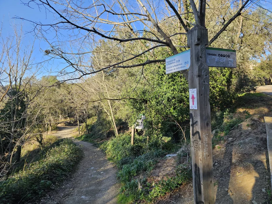 Turisitika in Tibidabo mountains