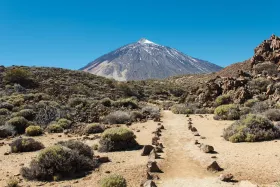 The road to Pico del Teide