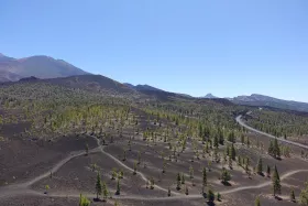 Landscape of Teide NP
