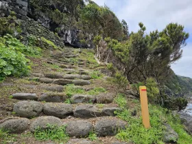 Hiking trail on Pico Island