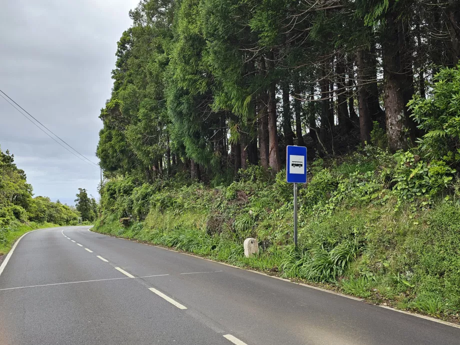 Bus stop, Pico Island