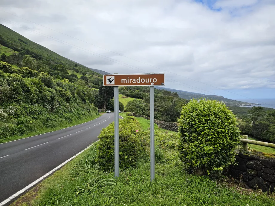 Marker indicating the viewpoint