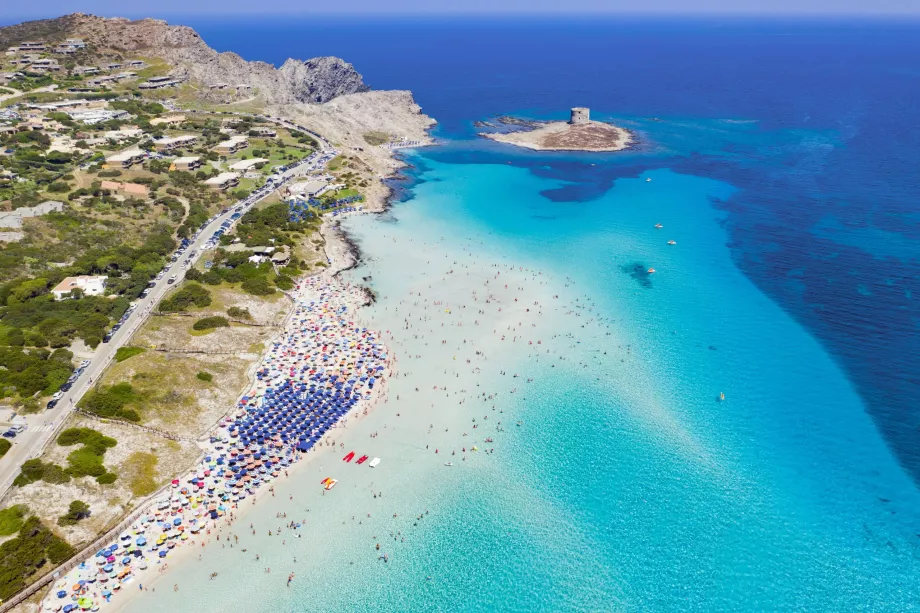 Isola Asinara