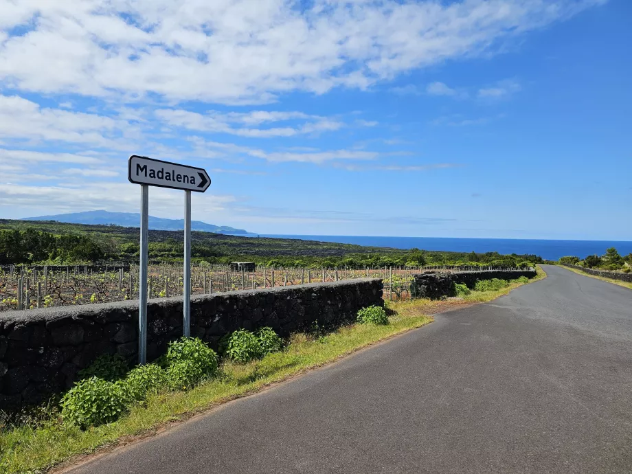 Traffic signs, Pico island