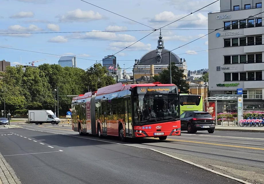 City buses