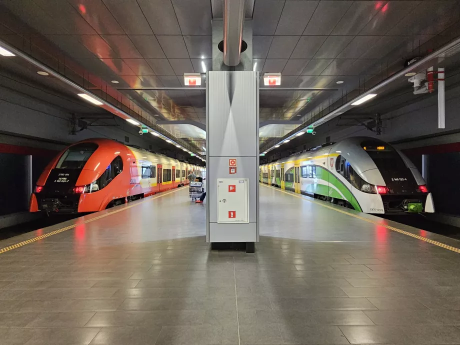 Platforms of trains - on the left train of line S (SKM), on the right train of line RL