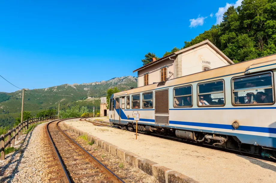 Train Corsica